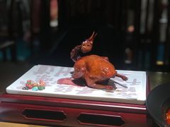 红烧鸽-大鸽饭(岗顶店)