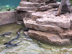 -灵玲国际马戏城