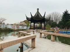 -苏州上方山国家森林公园