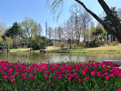 -上海滨江森林公园