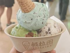 -极拉图·现制冰淇淋(大卫城店)