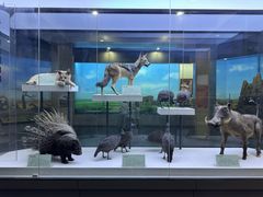 -国家自然博物馆