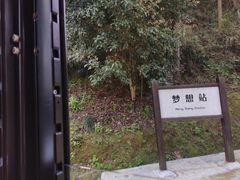 -千岛湖龙川湾