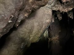 -怀托摩萤火虫洞