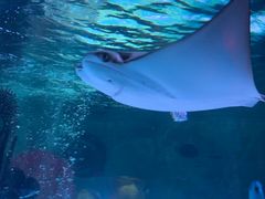 -沈阳海洋探索中心