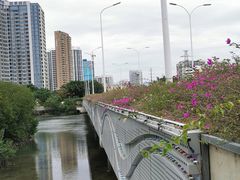-金鸡岭桥头公园