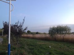 -绿堤公园