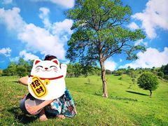 -关山草原