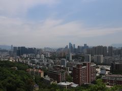 -福道