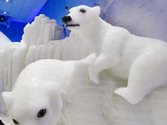 -宁波冰雪大世界(北仑区)