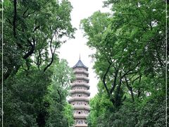 -灵谷景区