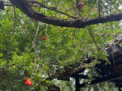 -湖南省立第一师范学校旧址