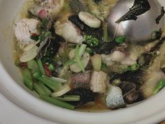 -饭怕鱼·黄焖鲟龙鱼(湖大店)
