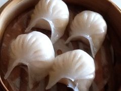 虾饺皇-七哥港式茶餐厅(亮马桥总店)