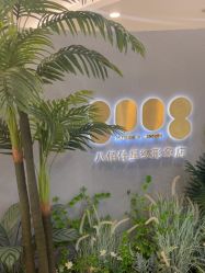 -八佰伴8008星级形象店