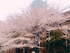 -上海交通大学医学院附属瑞金医院(总院)