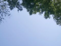 -徂徕山森林康养度假谷温泉