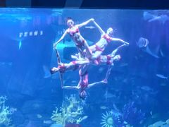 -泉城欧乐堡海洋极地世界