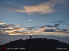 -梧桐山风景名胜区