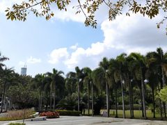 -荔枝公园(福田区)