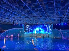 -海合安青岛极地海洋公园