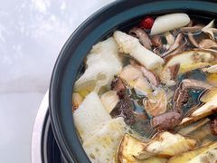 -蘑统田下·野生菌火锅