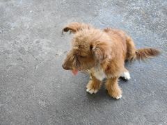 -小乡小镇·传承桐庐土菜·老板亲自烧的菜