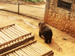 -昆明动物园