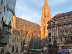 -斯蒂芬主教座堂(Stephansdom)