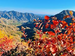-大岭沟猕猴桃谷风景区