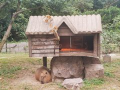 -上海野生动物园