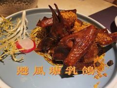 -点都德·毕德寮