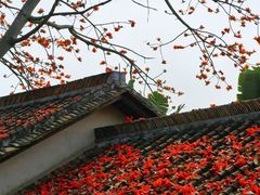 -喜洲吧·江畔老船厂·庭院餐厅(喜临院店)