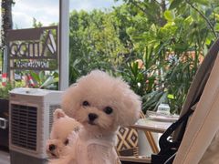 -Grande A'moo(上海万象城店)