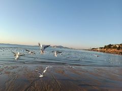 -青岛第三海水浴场