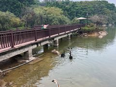 -厦门悦华酒店