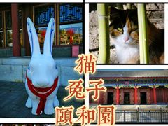 -颐和园