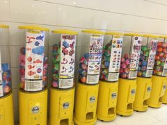 -南宫温泉水世界