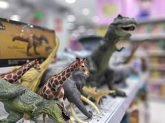 -TOYSRUS玩具反斗城(大连恒隆广场店)