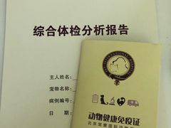 -宠爱国际动物医院· 猫科· 外科·中兽医(长白店)