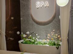 -小仙女采耳·按摩·SPA(深圳旗舰店)