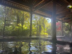 -腾冲洞山温泉村