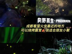 -春熙路步行街