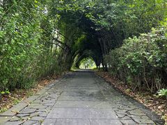 -苏州太湖国家湿地公园