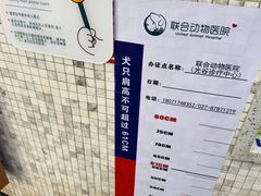 -联合动物医院(光谷诊疗中心)