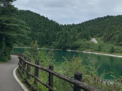 -武陵山森林公园