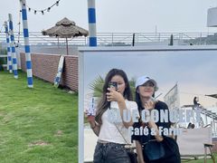 -Blue Concept Cafe&Farm·關於藍