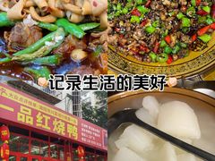 -一品红烧鸭特色川菜(三岔湖店)