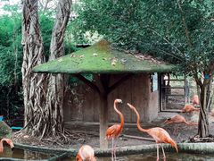 -清迈夜间动物园