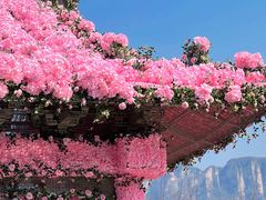 -河南宝泉旅游区